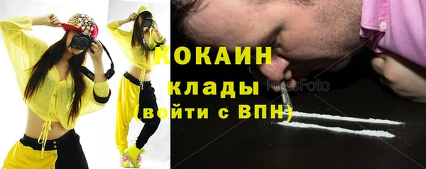 молекула духа Алексин