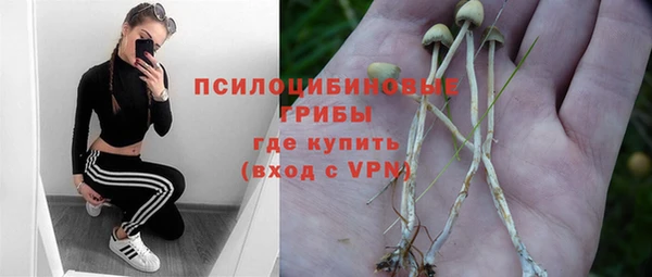 соль курить ск Алзамай