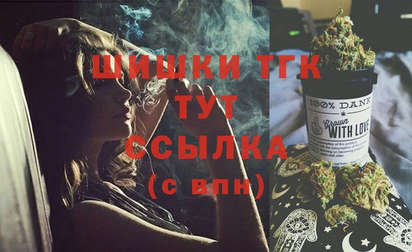 молекула духа Алексин
