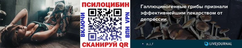 как найти наркотики  Мещовск  Псилоцибиновые грибы MAGIC MUSHROOMS 